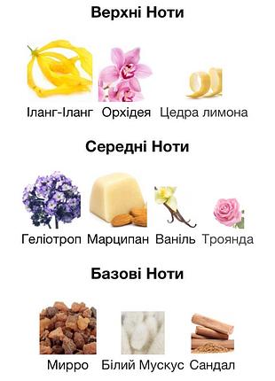 Azalea attar collection 4