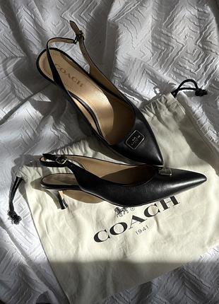 Слінгбекі від coach