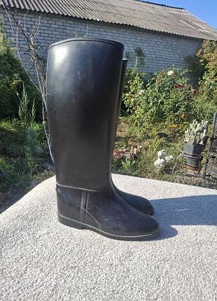 Резиновые сапоги