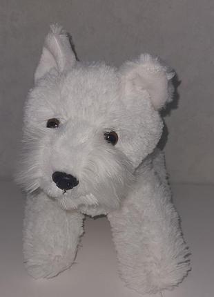 Белая собака aurora терьер терьер терьер порода реалистичная собака