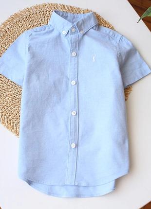 Базовая голубая рубашка с коротким рукавом next 3 года