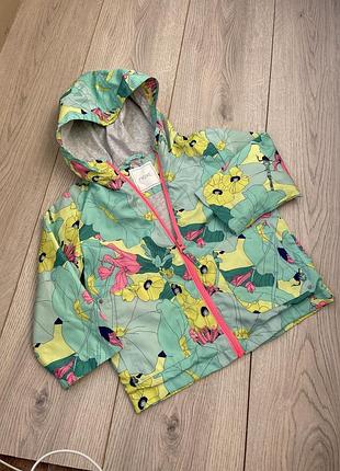 Куртка вітровка 2-3 роки