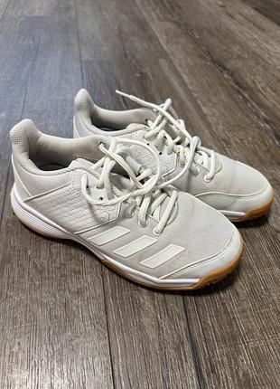 Продам красовки adidas