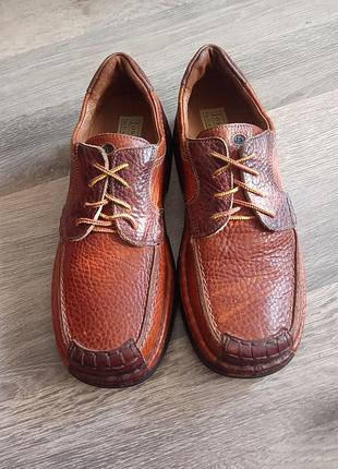 Туфлі шкіряні "josef seibel"