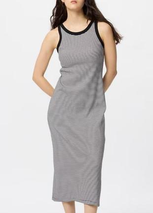 Сукня в рубчик uniqlo