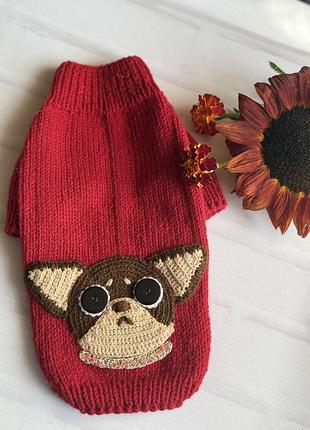Светр на маленьку собачку