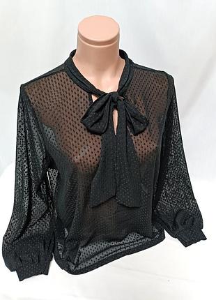 Блуза жіноча 18/3xl/54/46