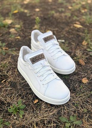 Лофери шкіряні