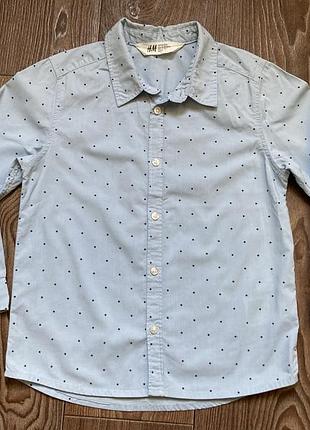 Шкільна сорочка для хлопчика 6-7 років h&m 116-122 блакитна з зірочками з довгим рукавом