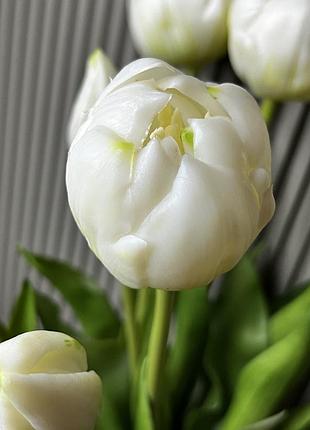 Штучний тюльпан
