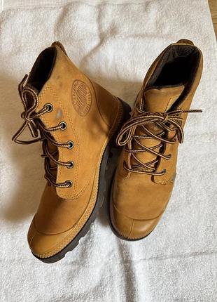 Черевики palladium