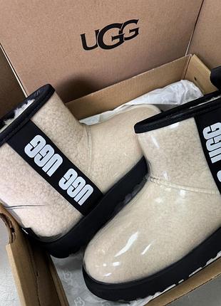 Ugg classic clear mini beige жіночі уггі в бежевому кольорі