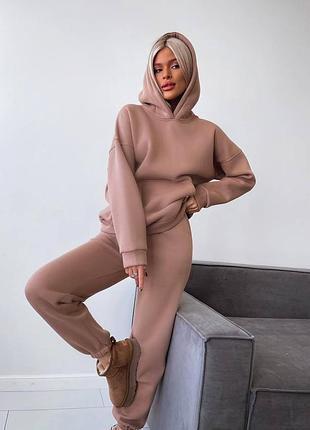 Спортивний костюм жіночий теплий на флісі флісовий повсякденний базовий на осінь осінній рожевий чорний сірий бежевий коричневий з капюшоном