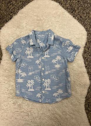 Сорочка гавайка для хлопчика 100925