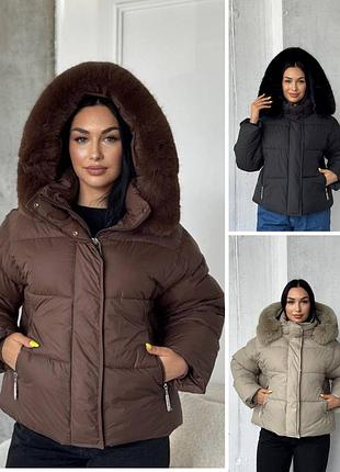 Зимові куртки