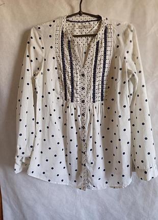 Блуза бавовна в горошок