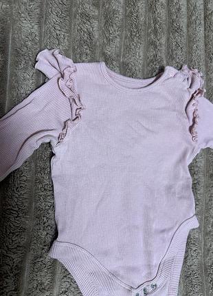 Бодік рожевий