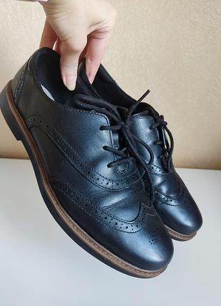 Жіночі шкіряні чорні брогі оксфорди clarks raisie hilde з перфорацією 39 розмір 25,5 см устилка