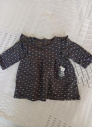 Кофта туника для девочки младенцев серая