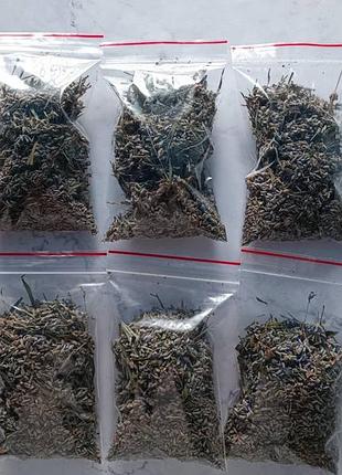 Лаванда на вагу по 20 грам