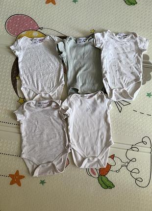 Бодікі zara 5 штук