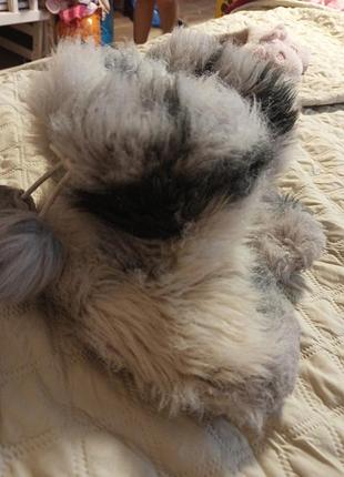 Чувственные домашние