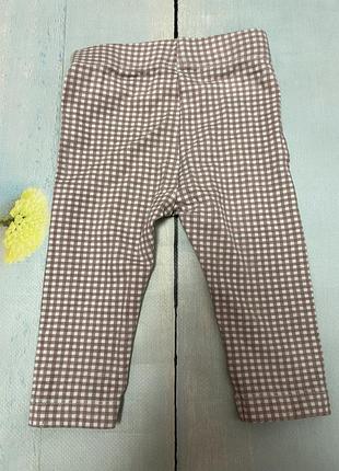 Лосины 2