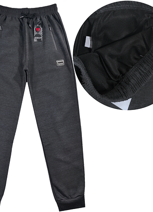 Спортивні чоловічі штани утеплені, сірого кольору 58