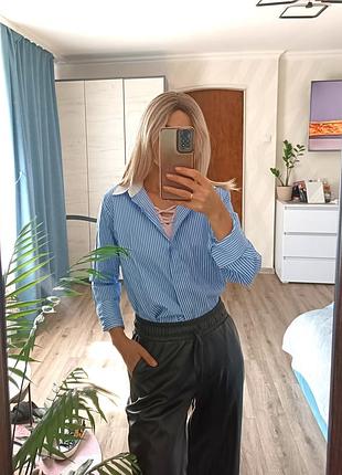 Сорочка у смужку з білим комірцем