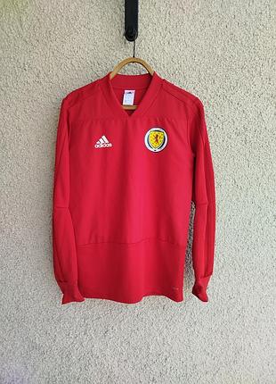 Спортивная кофта adidas худи свитшот адидас