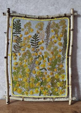 Картина из котов и трав ручная работа