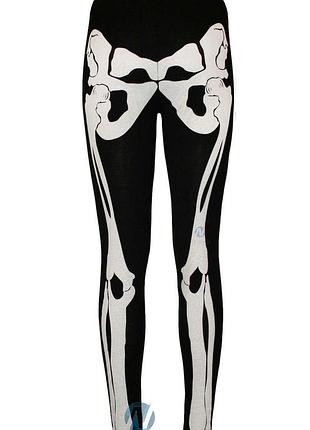 Скелет лосини