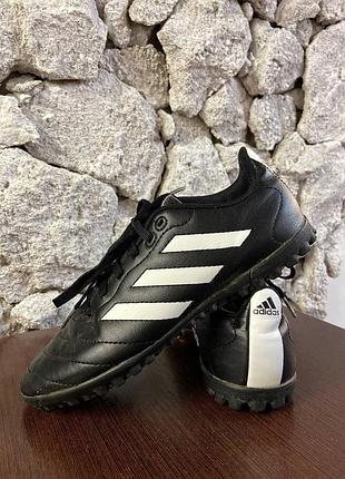 Сороконіжки, футбольне взуття