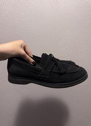 Лофери чорні