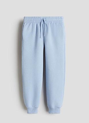 Спортивні штани на флісі