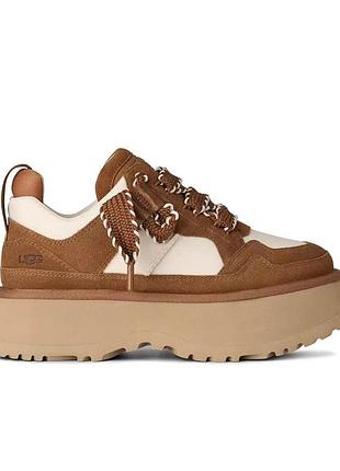 Кеди, кросівки ugg угг astromel