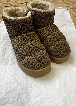 Чобітки зимові