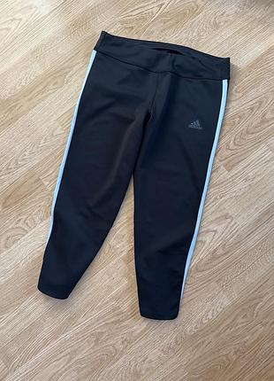 Лосіни/бріджи adidas m розмір