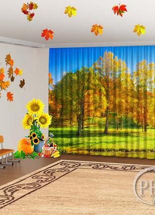 Осенние фото шторы для детского сада "осенние деревья под синим небом"