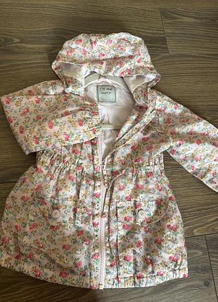 Куртка вітровка