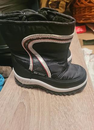 Зимние сапоги, сапоги