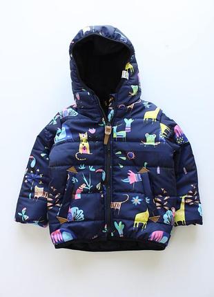 Теплі демісезонні куртки для дівчаток