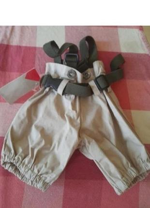 Штанишки, одежда для собак мелкой породы.