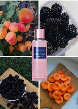 Velvet petals starlit