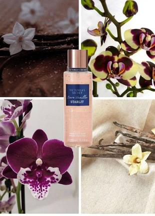 Bare vanilla starlit