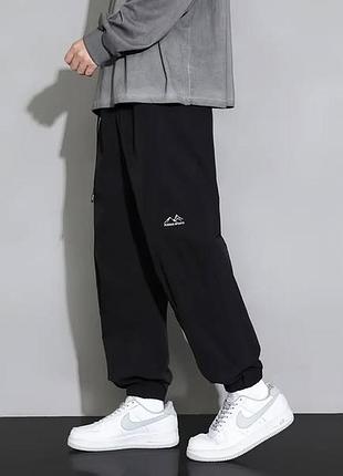 Чоловічі штани 2 кольори