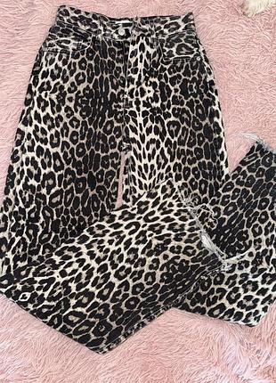 Джинси лео xs