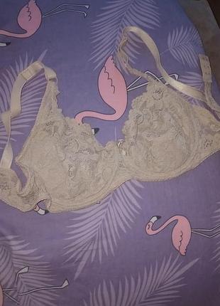 Бюстгалтер.