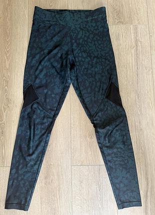 Лосіни oysho s