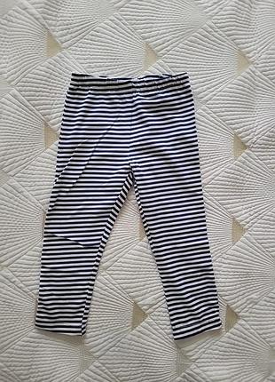 Бриджи бриджи для девочки на 4-5 лет